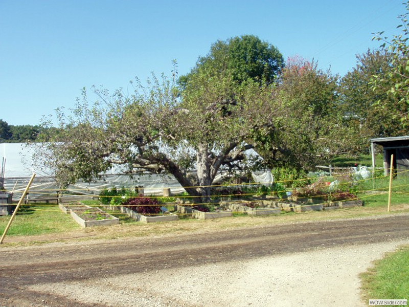 Goodale Orchards